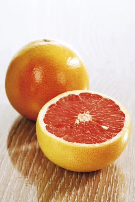 Impression encadrée : Pamplemousse rouge rubis (Citrus)