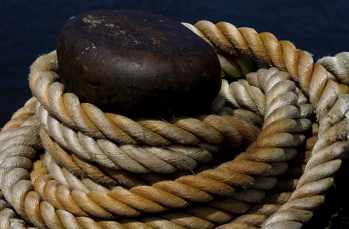 Impression encadrée : L'assuré est assuré.