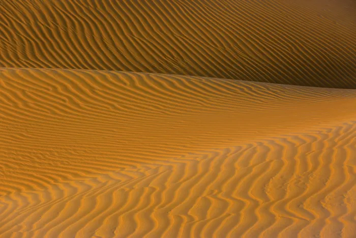Impression encadrée : Formes, structures et modèles. Impression encadrée : Formes, structures et modèles.
