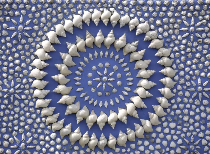 Impression encadrée : Cercle de coquille. Impression encadrée : Cercle de coquille.