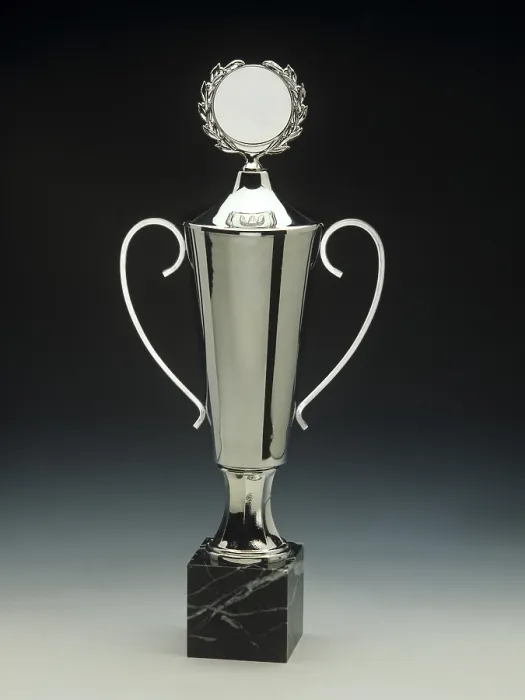 Impression encadrée : Trophée d'argent. Impression encadrée : Trophée d'argent.