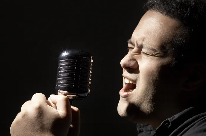 Impression encadrée : Singer Impression encadrée : Singer