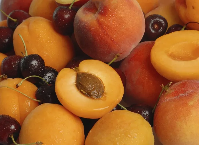 Impression encadrée : Fruit sec. Impression encadrée : Fruit sec.