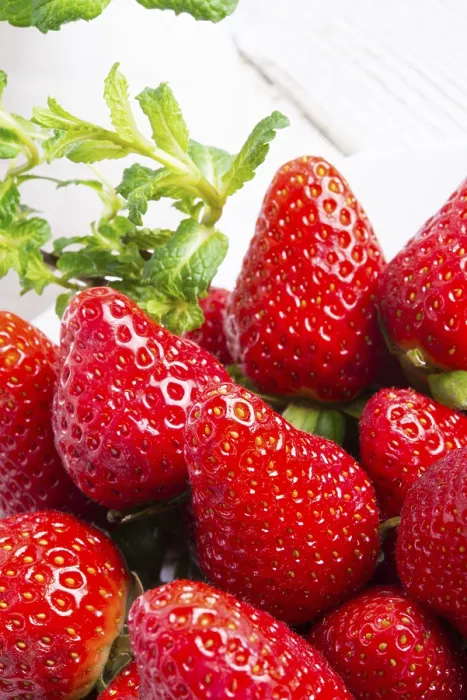 Impression encadrée : Fraises et menthes. Impression encadrée : Fraises et menthes.
