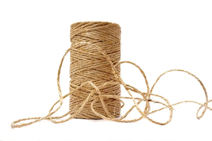 Impression encadrée : String