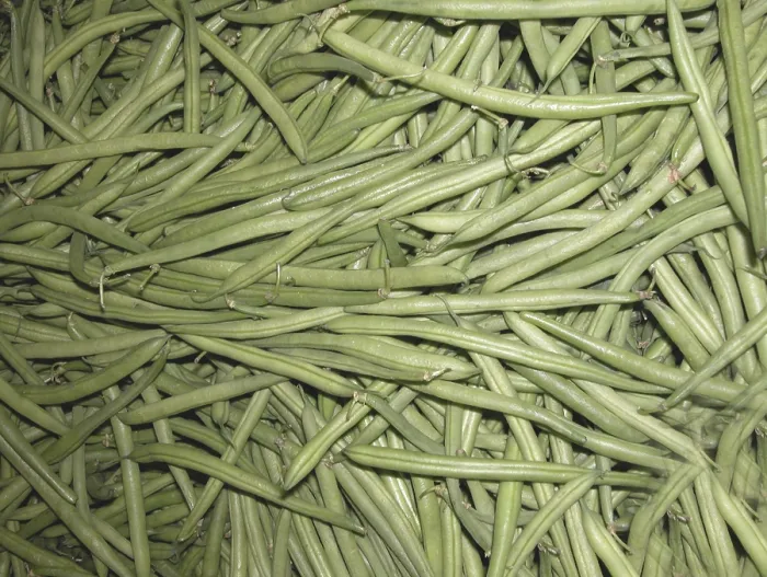Impression encadrée : Haricots verts Impression encadrée : Haricots verts