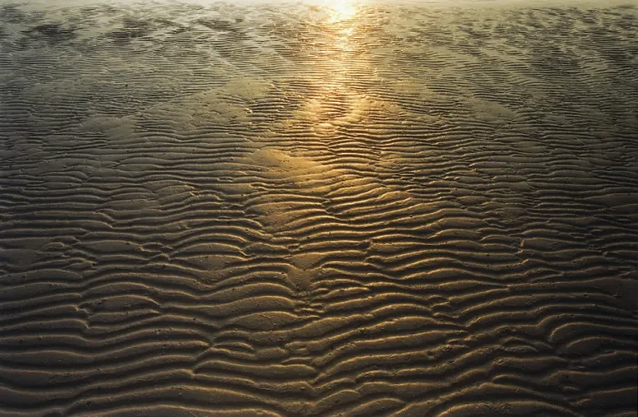 Impression encadrée : Sunset