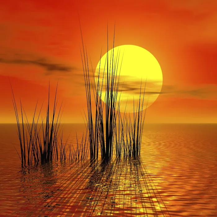 Impression encadrée : Sunset