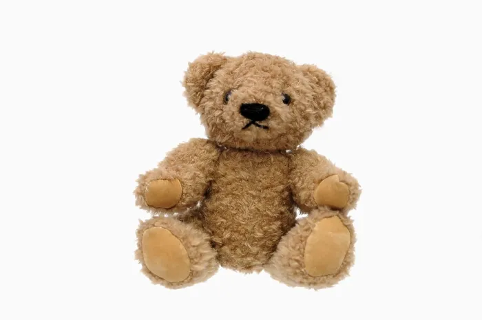 Impression encadrée : Ours en peluche. Impression encadrée : Ours en peluche.