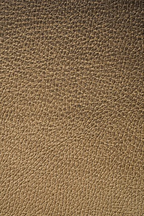 Impression encadrée : La texture du cuir. Impression encadrée : La texture du cuir.