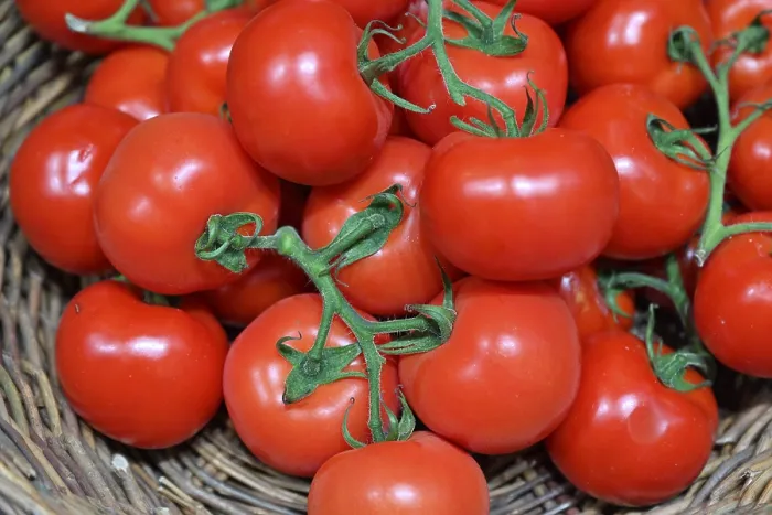 Impression encadrée : Tomatoes Impression encadrée : Tomatoes