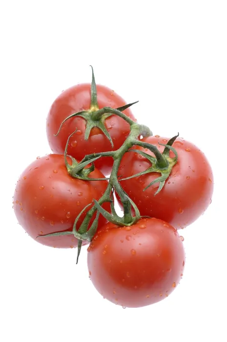 Impression encadrée : Tomatoes Impression encadrée : Tomatoes