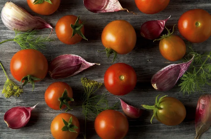Impression encadrée : Les tomates à l'arrière-plan. Les tomates.