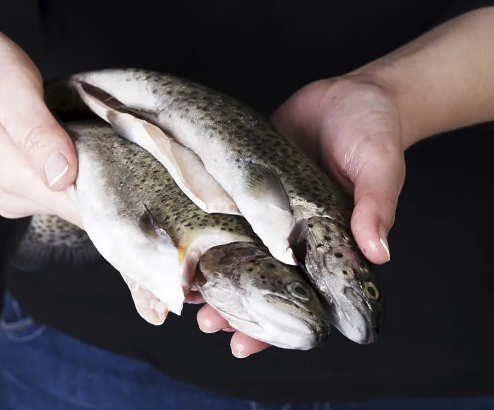 Impression encadrée : Trouts