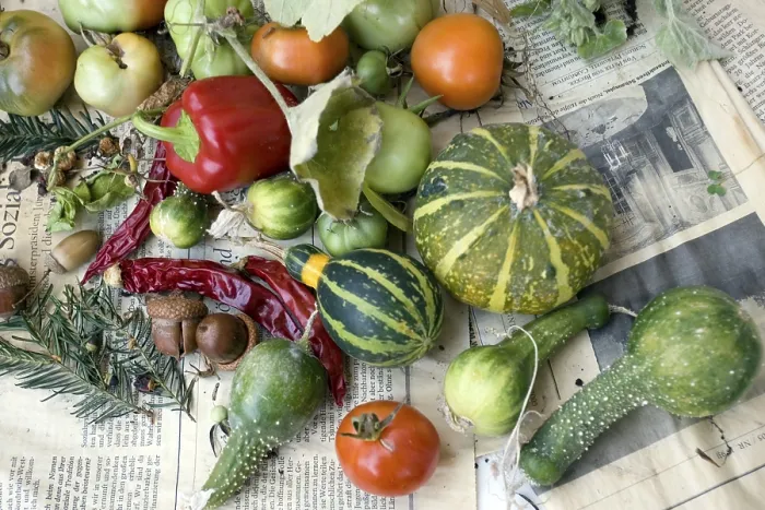 Impression encadrée : Vegetable