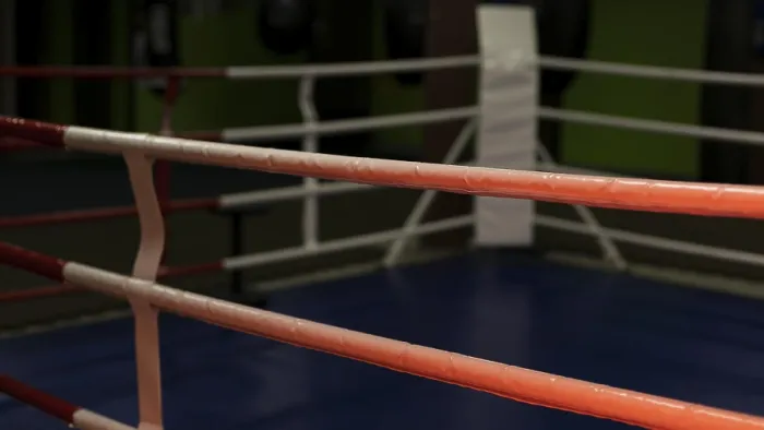 Impression encadrée : Vue avant vide de ring de boxe.