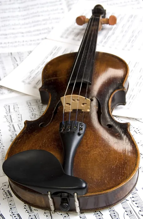 Impression encadrée : Violin