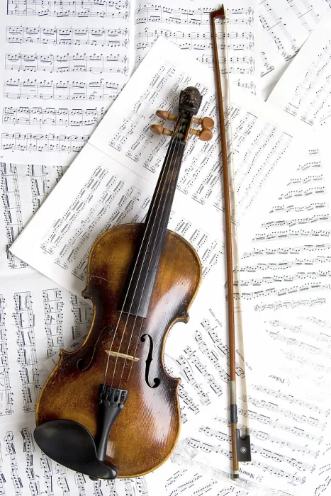 Impression encadrée : Violin