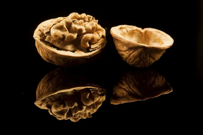 Impression encadrée : Walnut