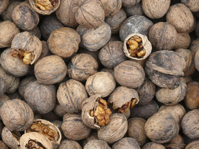 Impression encadrée : Walnut Impression encadrée : Walnut