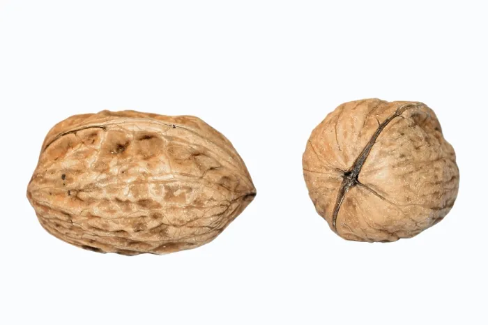 Impression encadrée : Walnuts Impression encadrée : Walnuts
