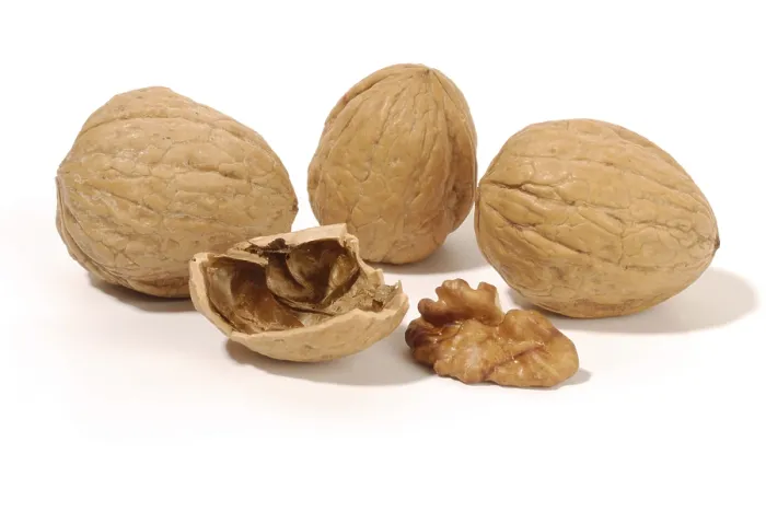 Impression encadrée : Walnuts