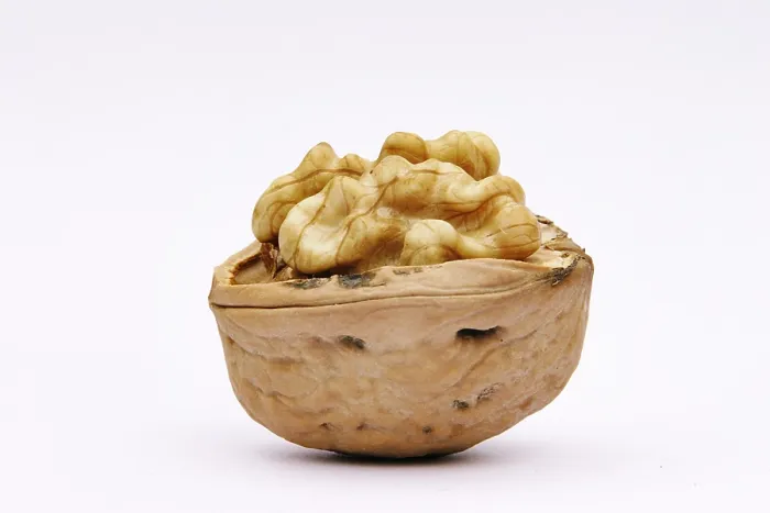Impression encadrée : Walnuts Impression encadrée : Walnuts