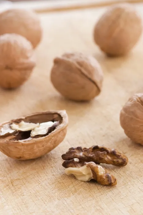 Impression encadrée : Walnuts