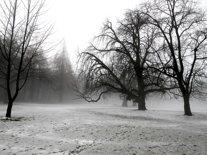 Impression encadrée : Winter Impression encadrée : Winter