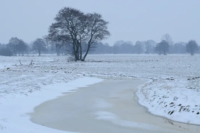 Impression encadrée : Paysage d'hiver. Impression encadrée : Paysage d'hiver.
