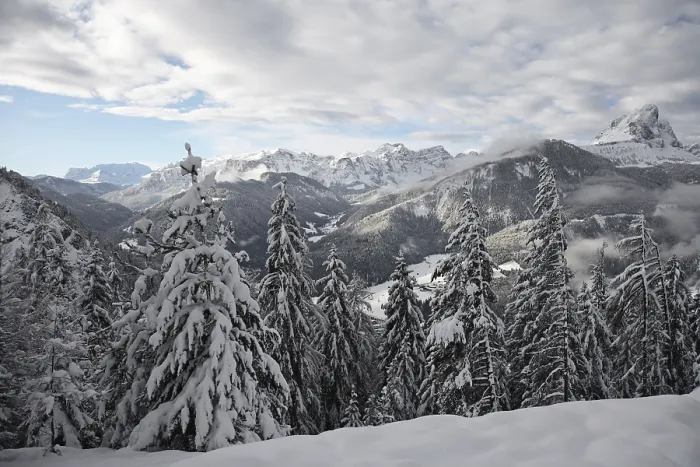 Impression encadrée : Winterly