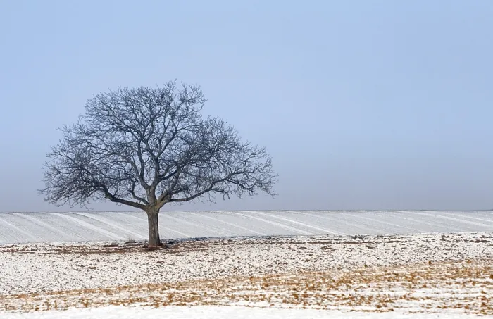 Impression encadrée : Wintertime