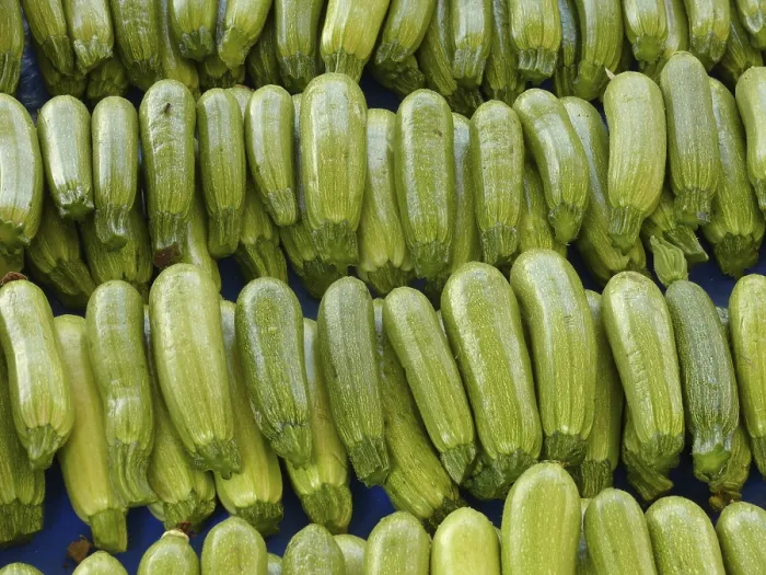 Impression encadrée : Zucchini Impression encadrée : Zucchini