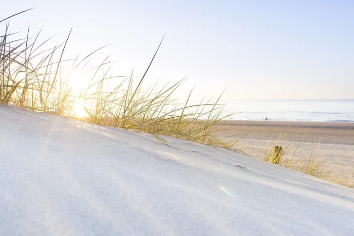 Impression encadrée : sunset. coucher de soleil sur les dunes à la plage, zonsondergang aan strand