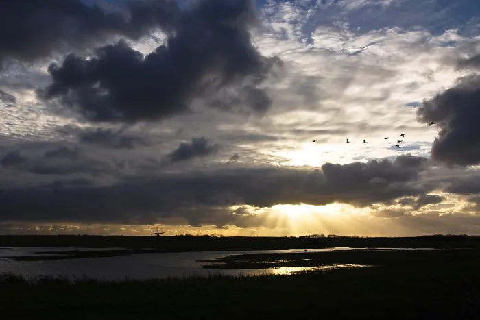Impression encadrée : Texel, Texel.