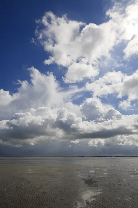 Impression encadrée : Westerschelde Impression encadrée : Westerschelde