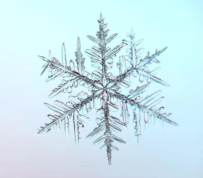 Impression encadrée : Fleur de Neige sous le Microscope. Impression encadrée : Fleur de Neige sous le Microscope.