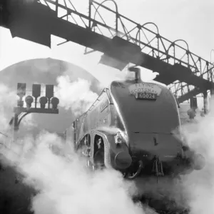 Chemins de fer – Voies, gares et transport à vapeur