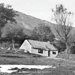 Black Mountain, Belfast Print: Early 20th Century