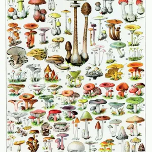 : Calendrier 2019 Images