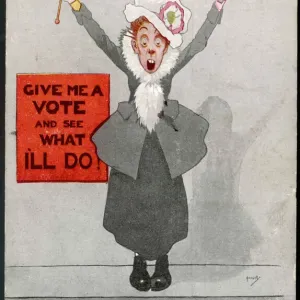 Mary Evans Print: A Commanding Suffragette