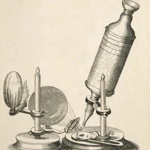 Robert Hooke's Microscope Print