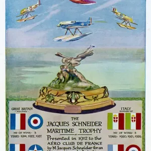 The Schneider Trophy Print