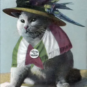 Suffragette Cat in Hat and Flag Print, circa 1908