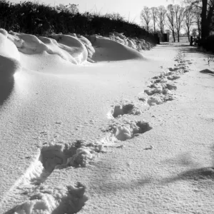 Footprints in the Snow