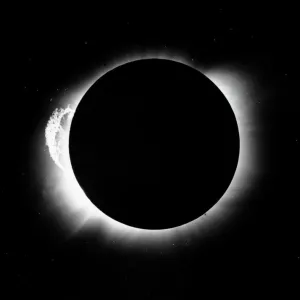Impressions de Images datées: 2019