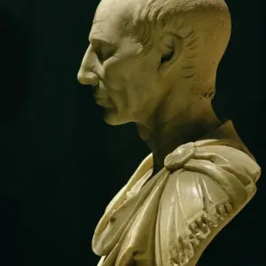 Julius Caesar Bust Print, Vatican Museum
