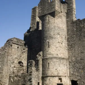 DMaca271 Balvenie Castle Print