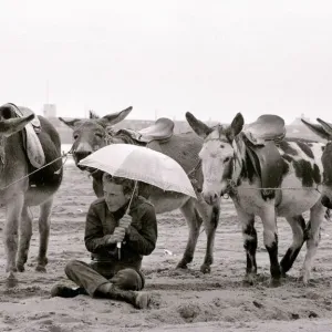 Raining Donkey Rides Print August 1977 Raining Donkey Rides Print August 1977