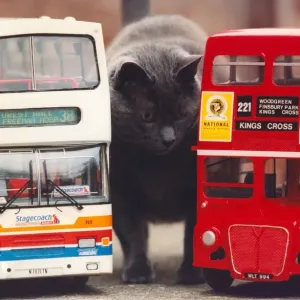 Pugsley the Cat with Stagecoach and Routemaster Print (00180) Pugsley the Cat with Stagecoach and Routemaster Print (00180)